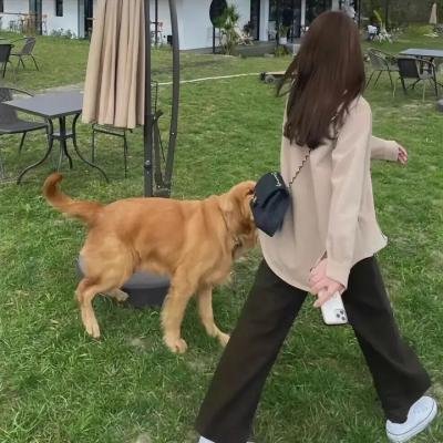 花都绮梦